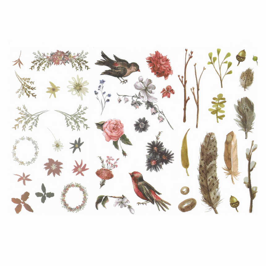 Watercolour Wild Forest Washi Stickers | Bird and Flower